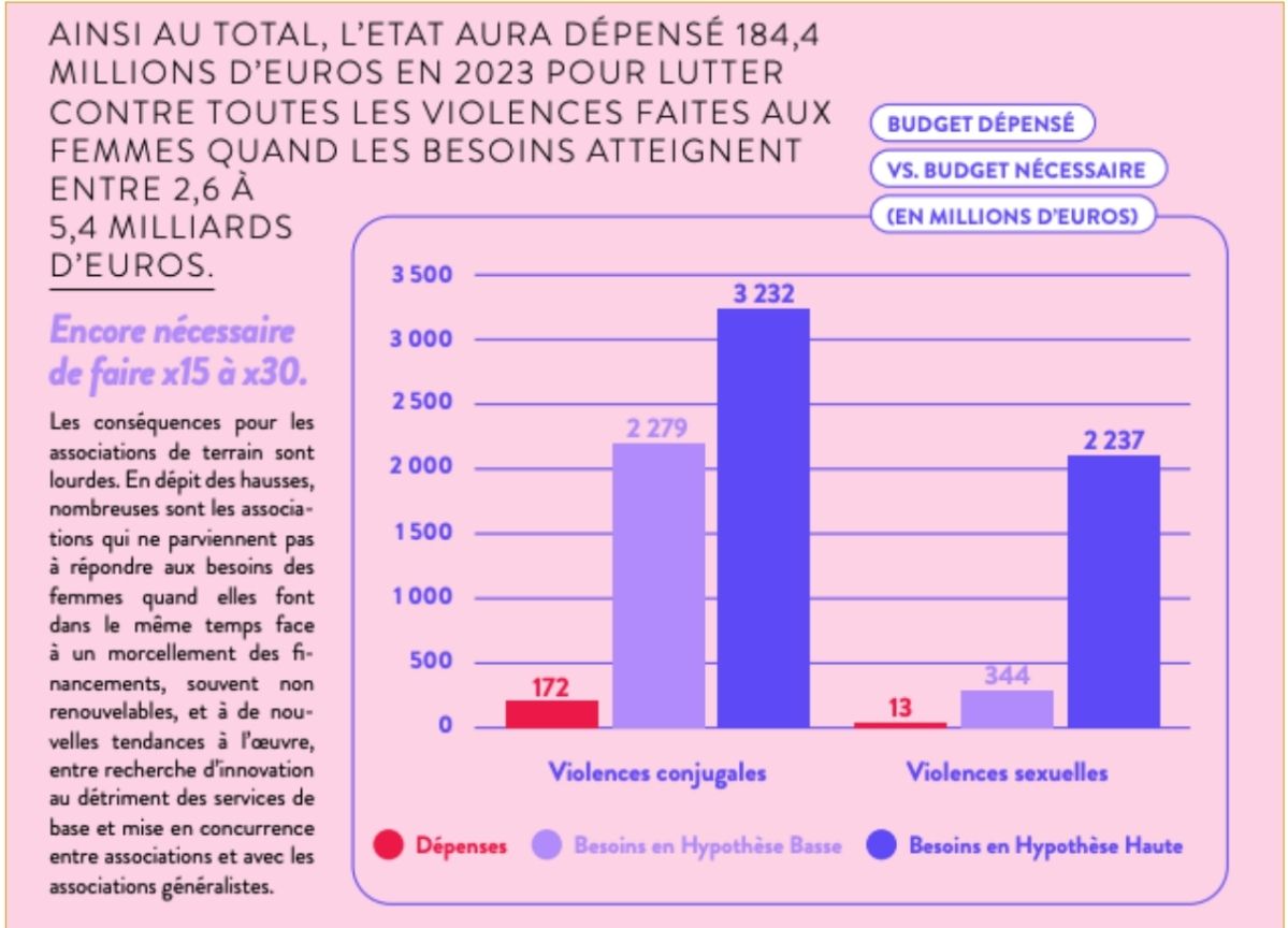 Ce graphique met en évidence un écart considérable entre les dépenses de l’État consacrées à la lutte contre les violences conjugales et sexuelles et les besoins estimés sur une année.